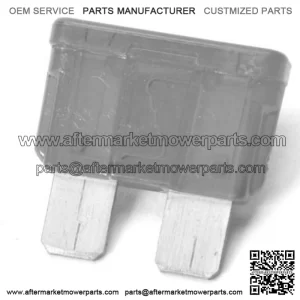 10 AMP FUSE