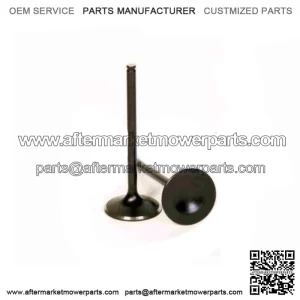 Exhaust Valve for 2015-2020 Honda TRX420FA5 FourTrax Rancher 4x4 wb (For: Honda)