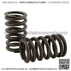 R-3900276 Valve Spring Fits Case
