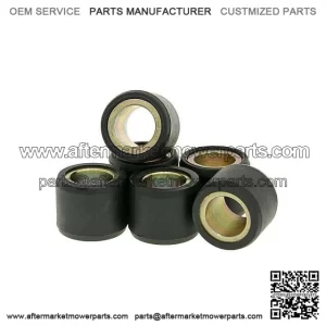 Peugeot Vivacity 50cc 2T [S1CAGA] 5.0 Grams Variator Rollers 16x13