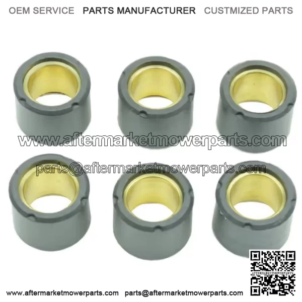 19x15.5mm Clutch Variator Roller Kit 6-Pack (S41000030P034)