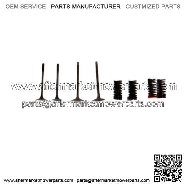 HONDA OEM VALVES & SPRINGS SET (2010-2011) CRF250R