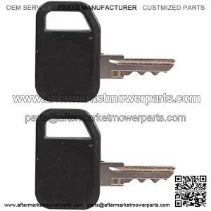 Key, Padded Ignition (2 Keys) Am131841