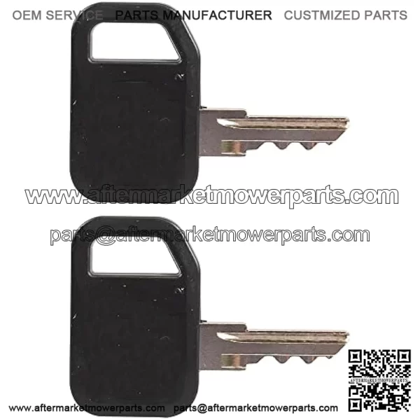 Key, Padded Ignition (2 Keys) Am131841